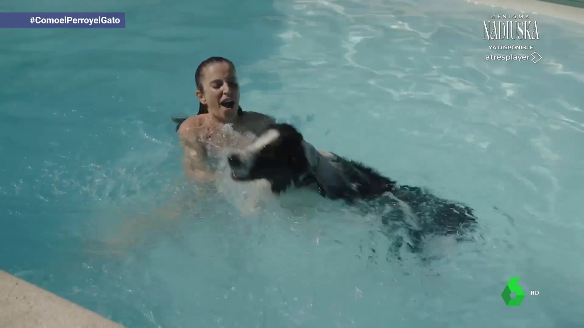 Si tu perro es adicto al agua ¡no te pierdas esta piscina para perros!