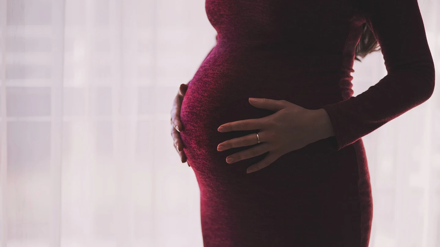 La maternidad, un terremoto financiero en la vida de las mujeres que solo un cambio cultural frenaría La maternidad, un terremoto financiero en la vida de las mujeres que solo un cambio cultural frenaría