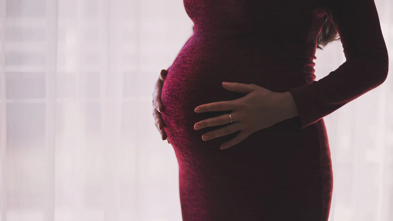 La maternidad, un terremoto financiero en la vida de las mujeres que solo un cambio cultural frenaría 