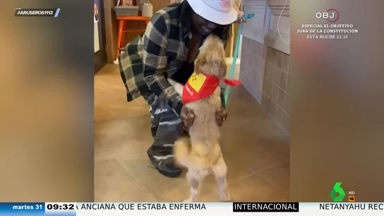 Pánfilo, el perro que se fue de 'perrasmus': así regresó a casa después de 17 días perdido a 2.900 km de distancia Pánfilo, el perro que se fue de 'perrasmus': así regresó a casa después de 17 días perdido a 2.900 km de distancia