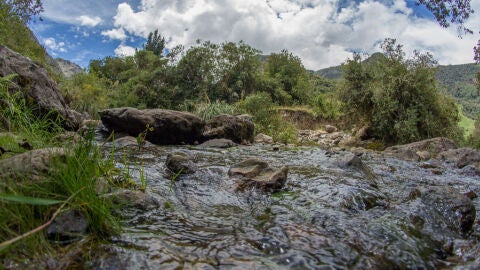 Termas de Papallacta