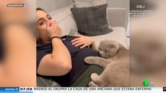 La reacción de un gato cuando nota las pataditas del bebé en la tripa de su dueña embarazada La reacción de un gato cuando nota las pataditas del bebé en la tripa de su dueña embarazada