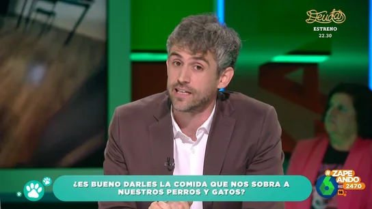 ¿Es bueno darles la comida que nos sobra a nuestros perros y gatos? El veterinario Víctor Algra lo aclara ¿Es bueno darles la comida que nos sobra a nuestros perros y gatos? El veterinario Víctor Algra lo aclara