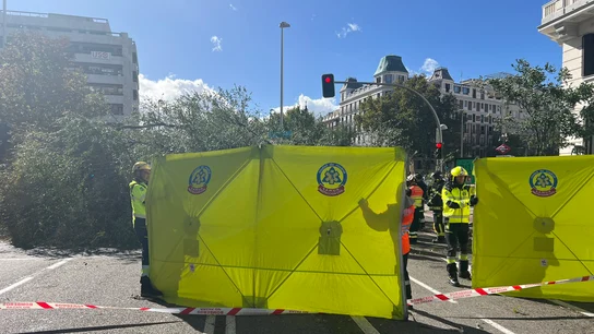 Bomberos de Madrid trabajan en el punto en el que ha caído un árbol y que ha causado la muerte de una mujer Bomberos de Madrid trabajan en el punto en el que ha caído un árbol y que ha causado la muerte de una mujer