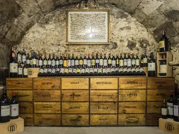 Vinos de Burdeos Vinos de Burdeos