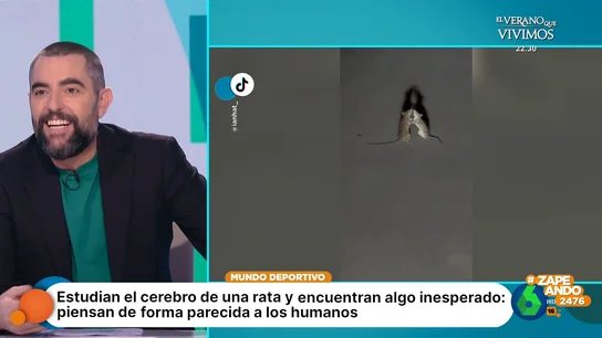 El inesperado parecido entre las ratas y los humanos que revela un estudio sobre su cerebro El inesperado parecido entre las ratas y los humanos que revela un estudio sobre su cerebro