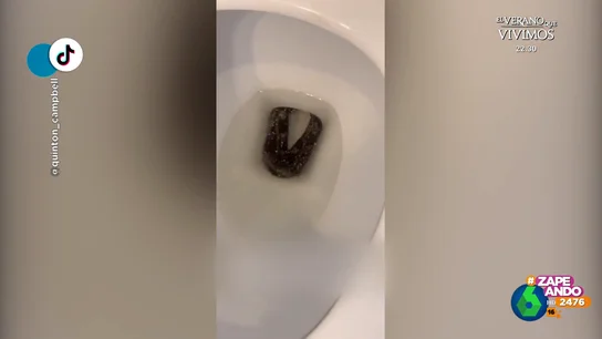 La escalofriante sorpresa que encuentra un chico al abrir su WC La escalofriante sorpresa que encuentra un chico al abrir su WC