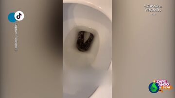La escalofriante sorpresa que encuentra un chico al abrir su WC