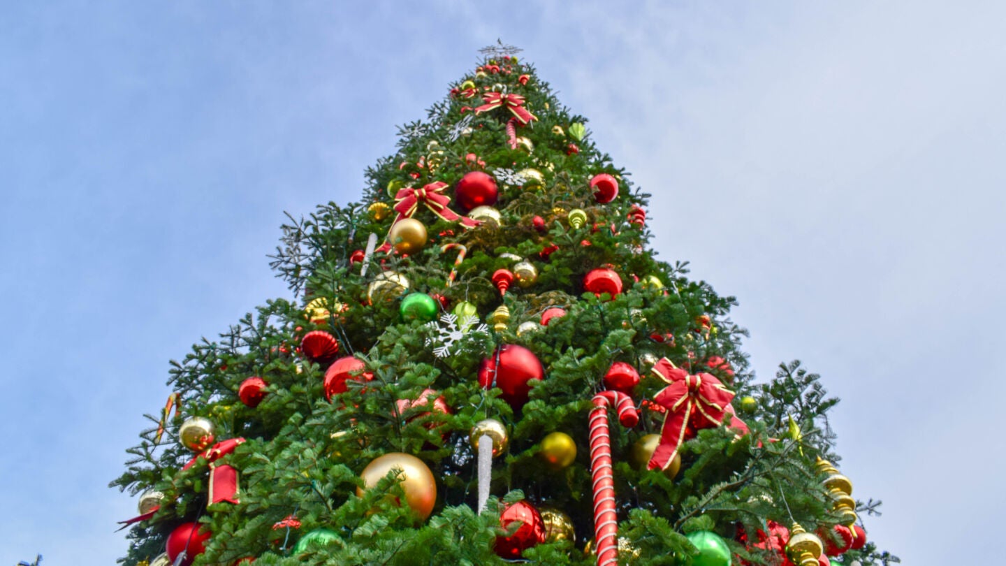 Imagen de archivo de un &aacute;rbol de Navidad