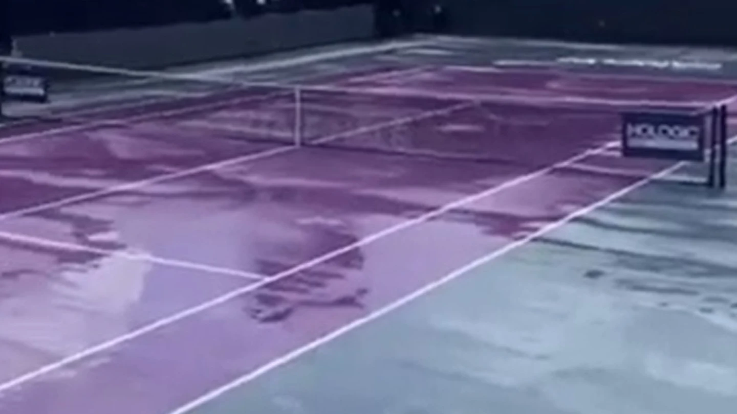 WTA WTA