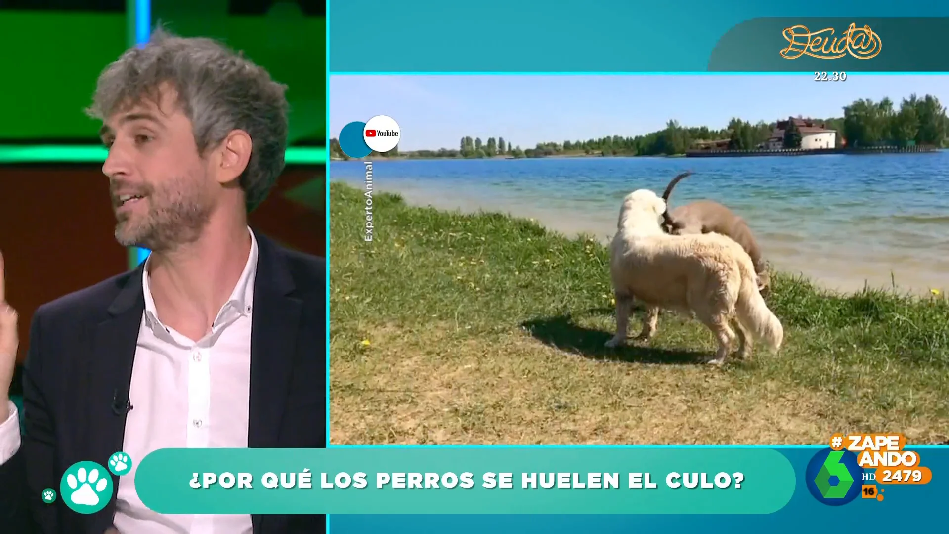 ¿Por qué los perros se huelen el culo? El veterinario Víctor Algra aclara este curioso comportamiento