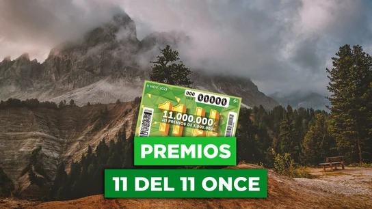 ¿Qué premios reparte el 11 del 11 de la ONCE de 2023? ¿Qué premios reparte el 11 del 11 de la ONCE de 2023?