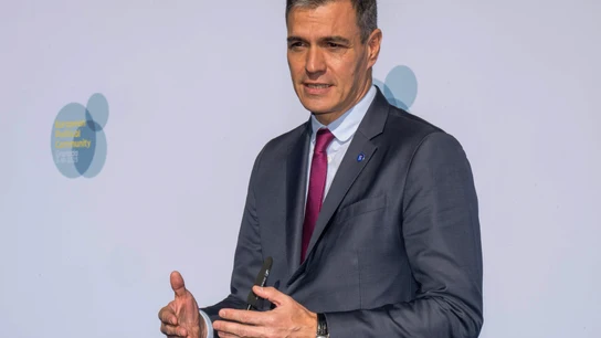 El presidente del Gobierno en funciones, Pedro Sánchez. El presidente del Gobierno en funciones, Pedro Sánchez.