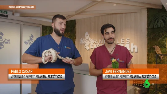 Verdades y mentiras sobre los animales exóticos en la nueva Ley de Protección y Bienestar Animal Verdades y mentiras sobre los animales exóticos en la nueva Ley de Protección y Bienestar Animal