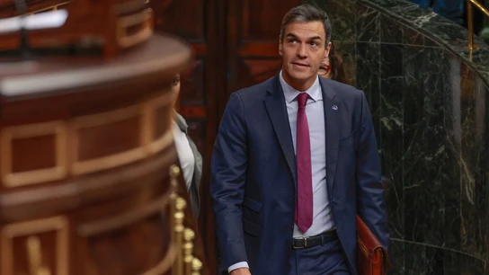 Pedro Sánchez, en el Congreso de los Diputados Pedro Sánchez, en el Congreso de los Diputados