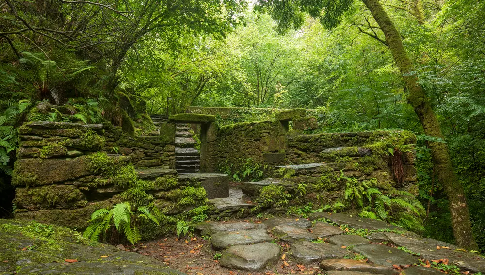 Parque Natural de Fragas do Eume en Galicia Parque Natural de Fragas do Eume en Galicia