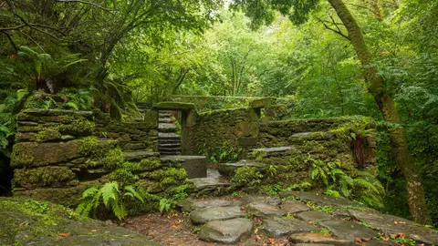 Parque Natural de Fragas do Eume en Galicia