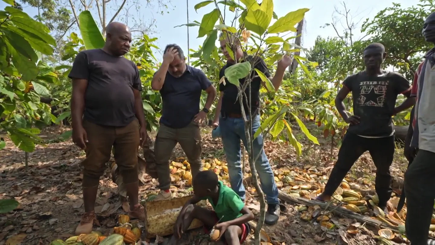 "Queremos dar lecciones y somos responsables": la desolación de Enviado Especial al descubrir cómo nos llega el cacao "Queremos dar lecciones y somos responsables": la desolación de Enviado Especial al descubrir cómo nos llega el cacao
