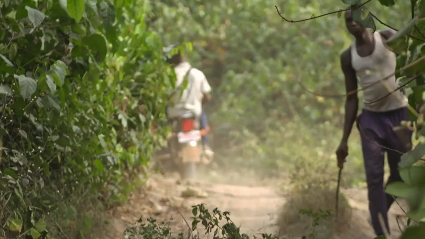 "Viene alguien con un machete, ¡un niño!": el susto del equipo de Enviado Especial al cruzarse a un menor en un plantación ilegal "Viene alguien con un machete, ¡un niño!": el susto del equipo de Enviado Especial al cruzarse a un menor en un plantación ilegal