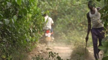 "Viene alguien con un machete, ¡un niño!": el susto del equipo de Enviado Especial al cruzarse a un menor en un plantación ilegal