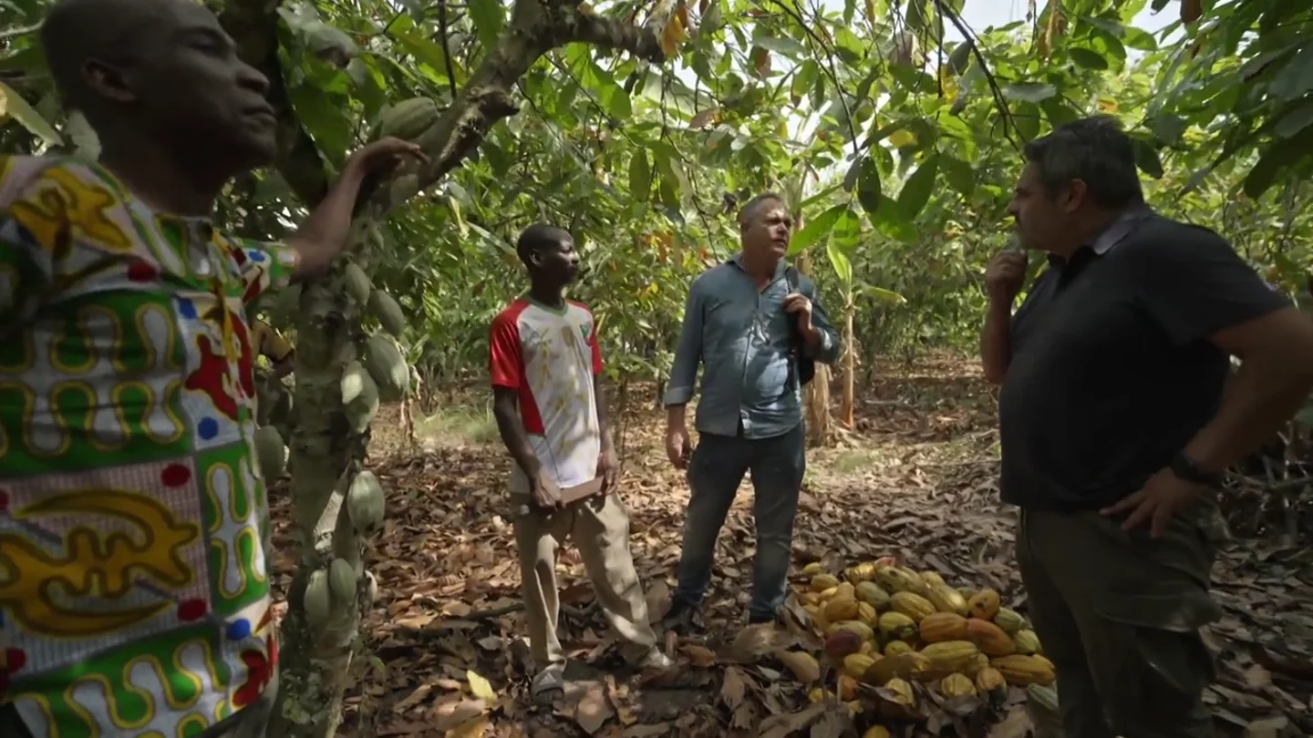 ¿De dónde viene el chocolate que comemos? Jalis de la Serna se adentra en el negocio del cacao ¿De dónde viene el chocolate que comemos? Jalis de la Serna se adentra en el negocio del cacao