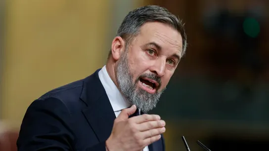 El líder de Vox, Santiago Abascal El líder de Vox, Santiago Abascal