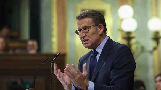 El líder del Partido Popular, Alberto Núñez Feijóo, interviene en el Congreso El líder del Partido Popular, Alberto Núñez Feijóo, interviene en el Congreso