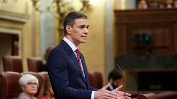 el secretario general del PSOE y presidente del Gobierno en funciones, Pedro Sánchez, interviene ante Congreso.