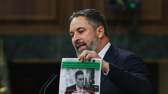 Santiago Abascal, durante su intervención contra Pedro Sánchez Santiago Abascal, durante su intervención contra Pedro Sánchez