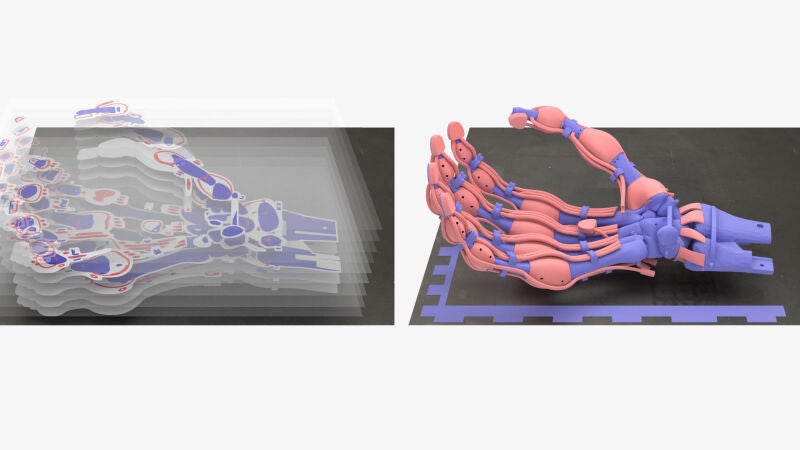 Crean mediante impresión 3D una mano robótica blanda con huesos, ligamentos y tendones