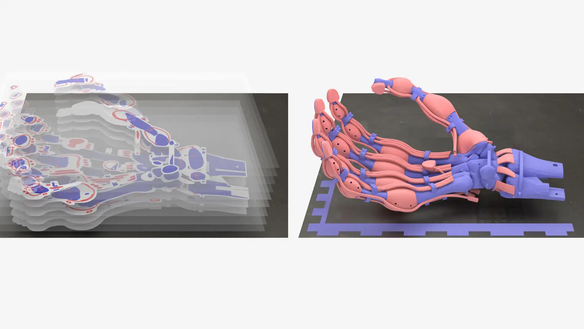 Crean mediante impresión 3D una mano robótica blanda con huesos, ligamentos y tendones