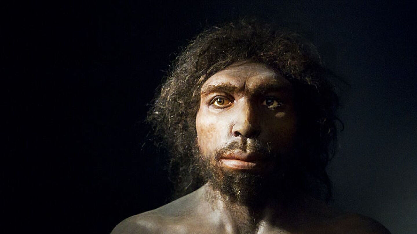 'Homo antecessor', la historia del yacimiento de Atapuerca que modific&oacute; la de toda la humanidad