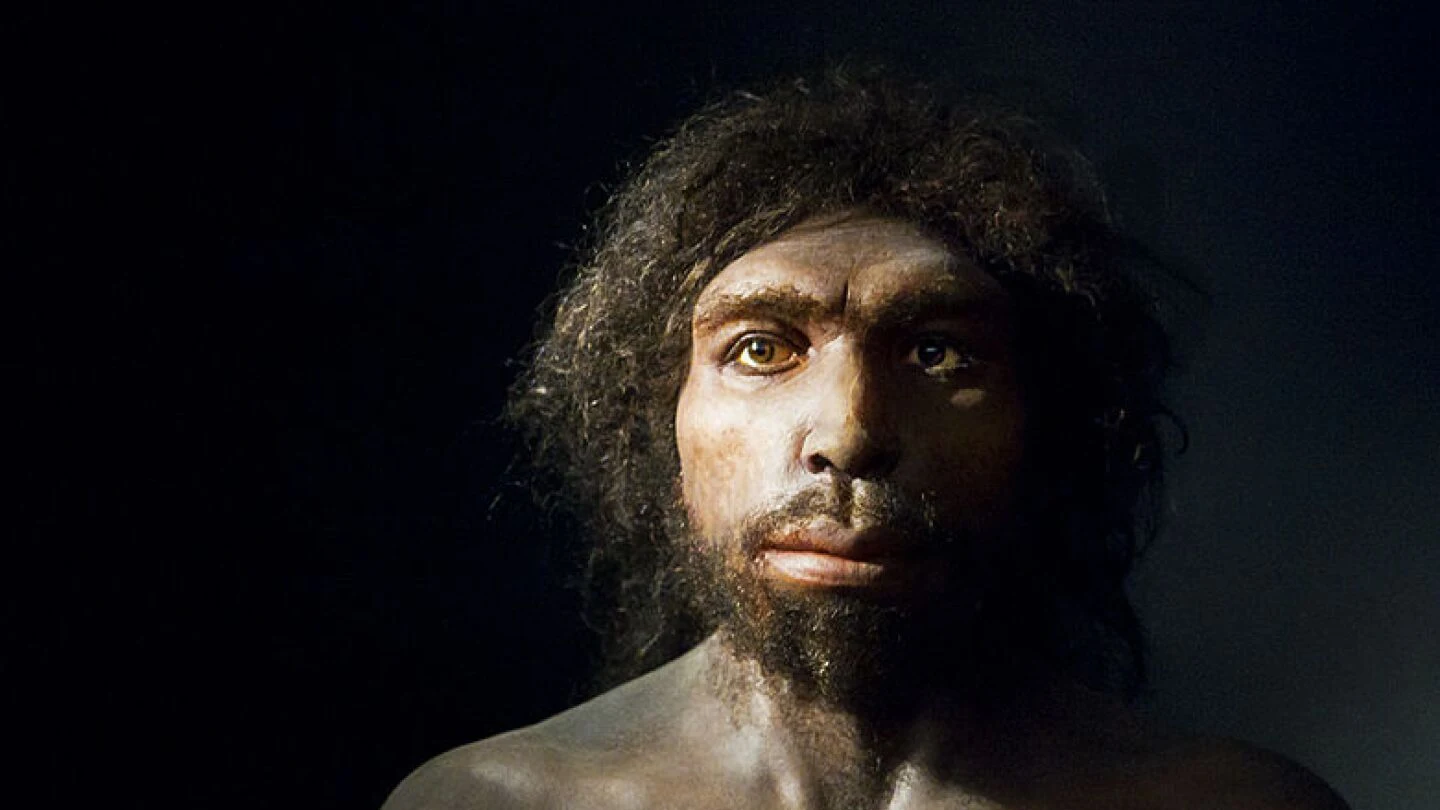 Recreación de un Homo antecessor 'Homo antecessor', la historia del yacimiento de Atapuerca que modificó la de toda la humanidad