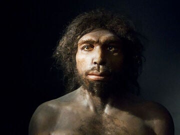 Recreación de un Homo antecessor