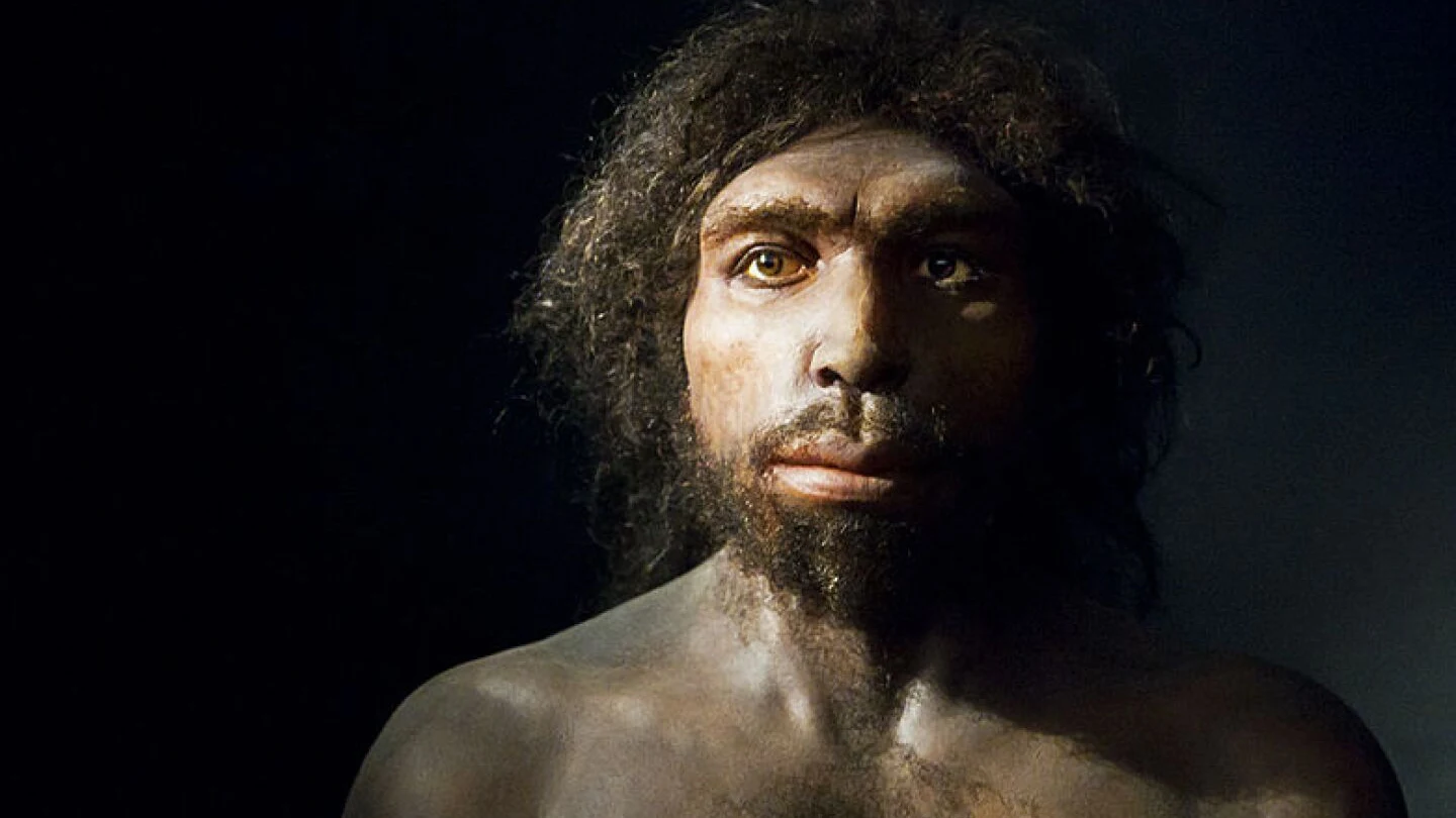 'Homo antecessor', la historia del yacimiento de Atapuerca que modificó la de toda la humanidad