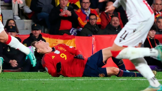 Gavi, tendido en el césped Gavi, tendido en el césped