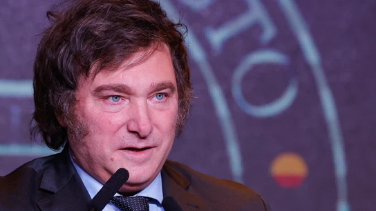 El presidente de Argentina, Javier Milei El presidente de Argentina, Javier Milei