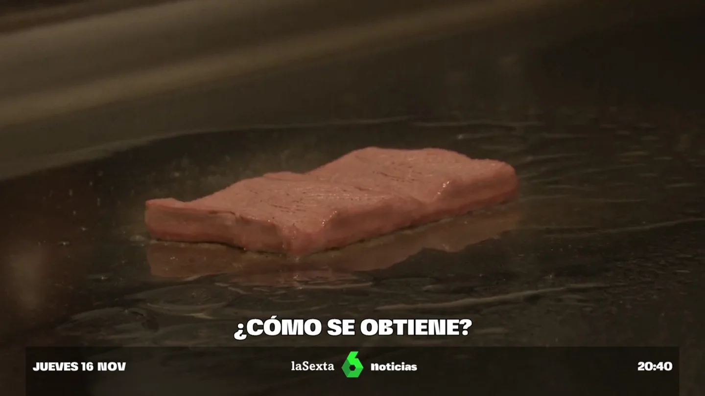 Italia prohíbe producir y vender alimentos sintéticos: estos son los argumentos a favor y en contra "Garantizamos el máximo nivel de protección de la salud de los ciudadanos y la salvaguardia del patrimonio de nuestra nación", ha justificado el ministro de Agricultura italiano, Francesco Lollobrigida.