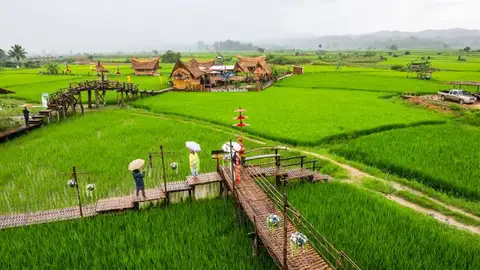 Arrozal en la provincia de Nan, Tailandia Arrozal en la provincia de Nan, Tailandia