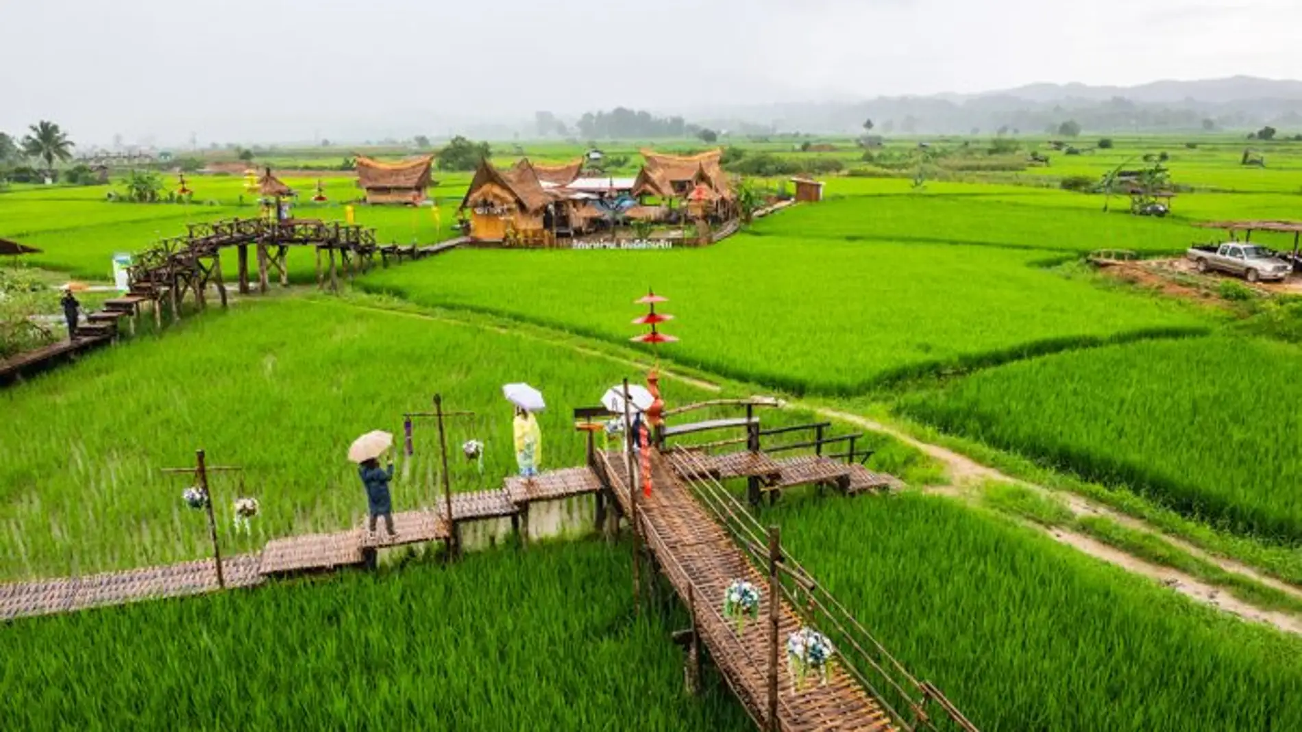 Arrozal en la provincia de Nan, Tailandia