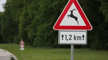 Señal peligro animales salvajes Señal peligro animales salvajes