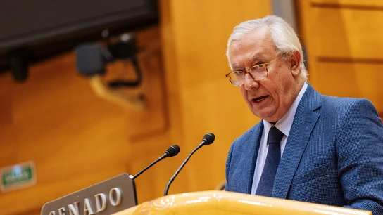 El senador del PP Javier Arenas interviene durante una sesión plenaria en el Senado El senador del PP Javier Arenas interviene durante una sesión plenaria en el Senado
