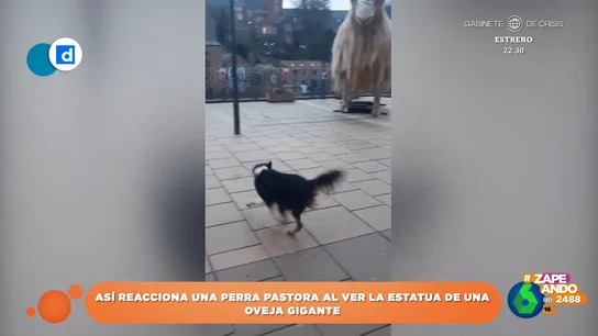 Así reacciona una perrita pastora tras ver una estatua gigante de una oveja en la calle Así reacciona una perrita pastora tras ver una estatua gigante de una oveja en la calle