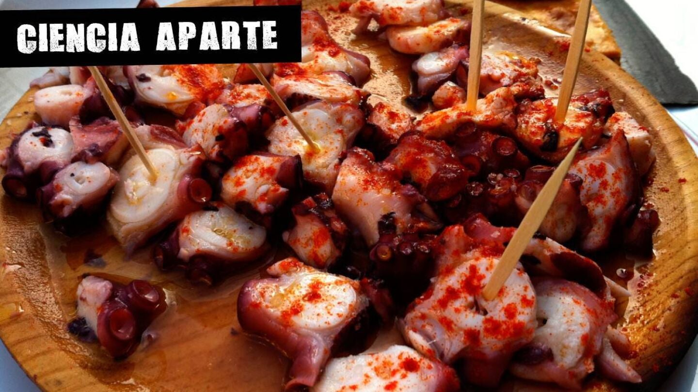 La ciencia del pulpo &aacute; feira