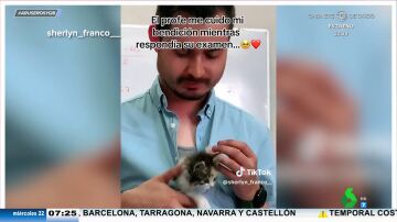 Un profesor cuida del pequeño gatito de su alumna mientras está en un examen y se hace viral