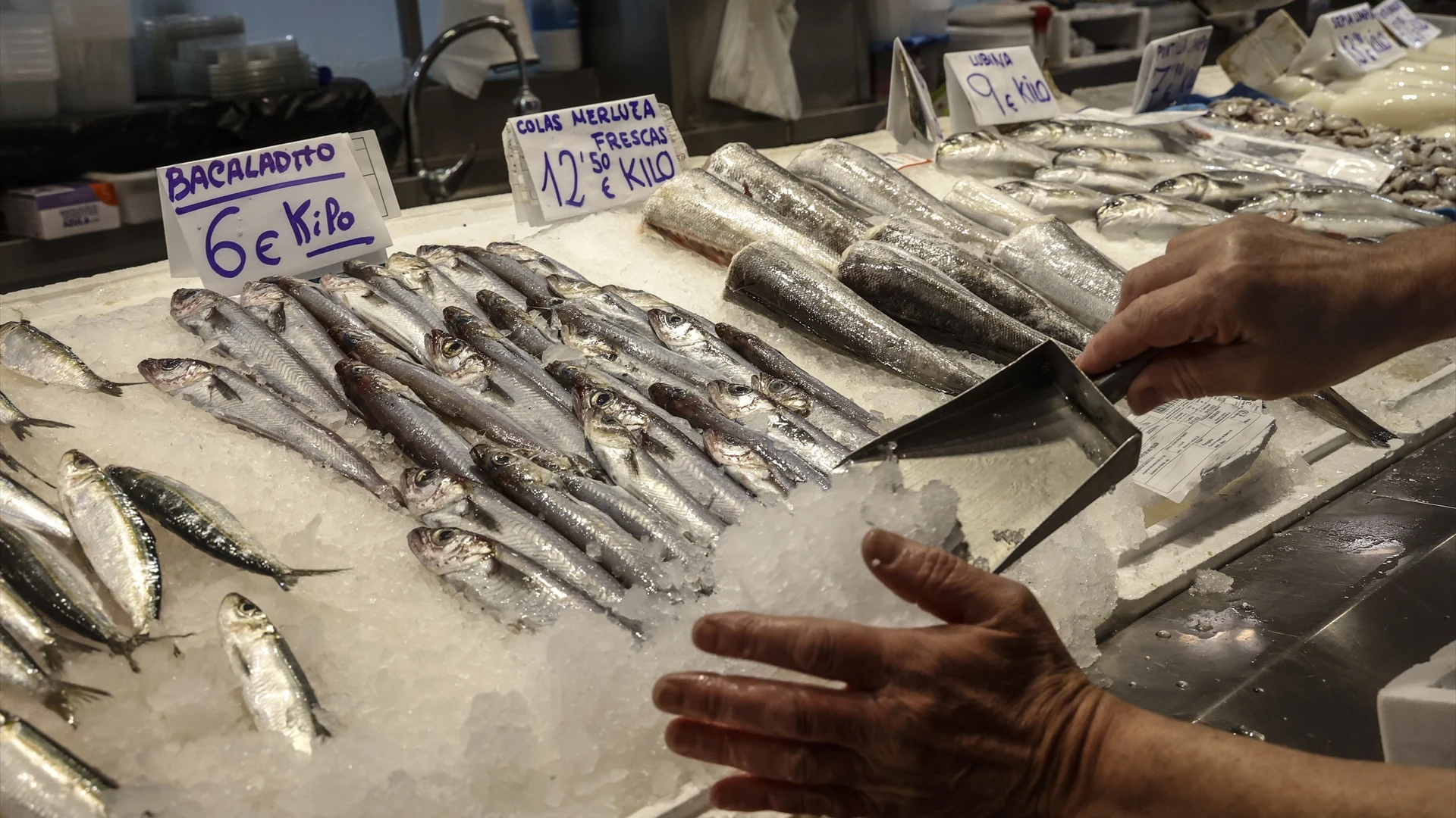 Foto de archivo de un puesto de pescado y marisco de Valencia.