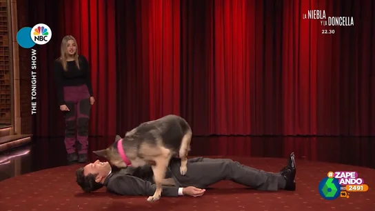 Jimmy Fallon es 'atacado' en pleno directo por un perro: "¿Qué acaba de pasar?" Jimmy Fallon es 'atacado' en pleno directo por un perro: "¿Qué acaba de pasar?"