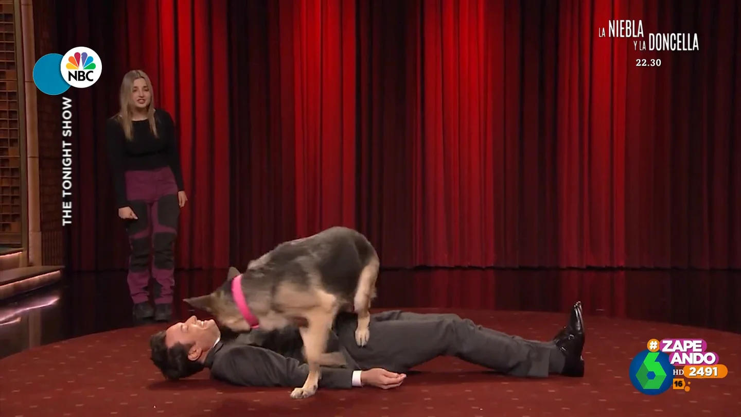 Jimmy Fallon es 'atacado' en pleno directo por un perro: "¿Qué acaba de pasar?" Jimmy Fallon es 'atacado' en pleno directo por un perro: "¿Qué acaba de pasar?"