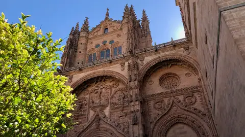 Catedral nueva de Salamanca Catedral nueva de Salamanca