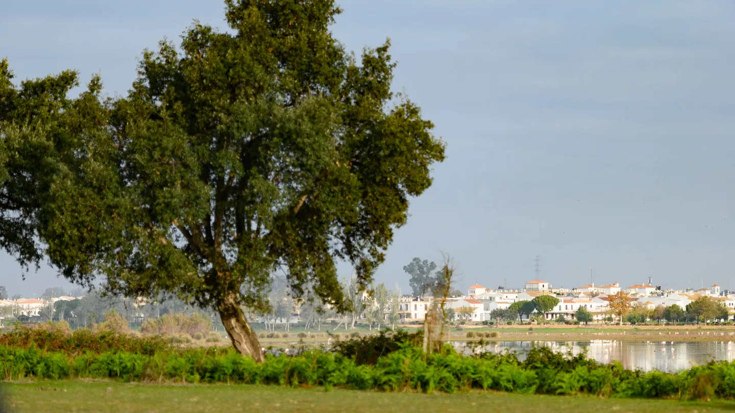 Vista de las marismas junto a la aldea de El Rocío en el Parque Nacional de Doñana Vista de las marismas junto a la aldea de El Rocío en el Parque Nacional de Doñana